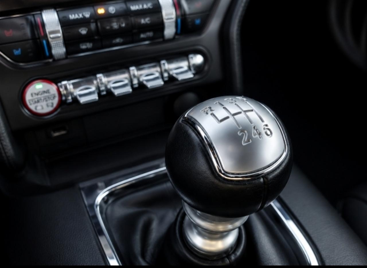Ford Mustang GT Premium 2D Coupe 2015