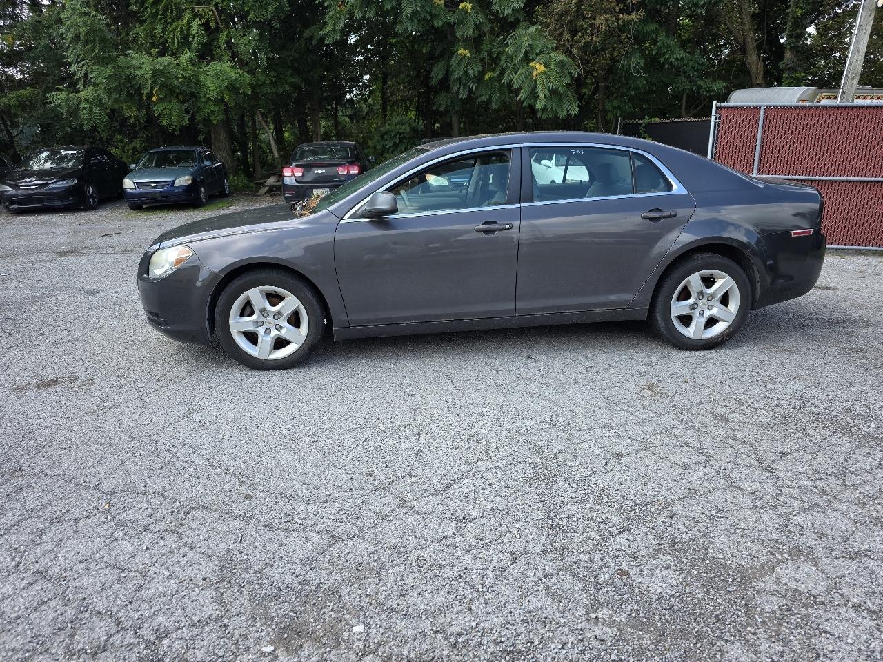Chevrolet Malibu Fleet 2010