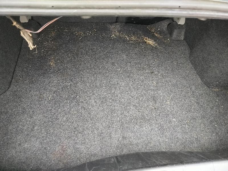 Chevrolet Cobalt LS Coupe 2006