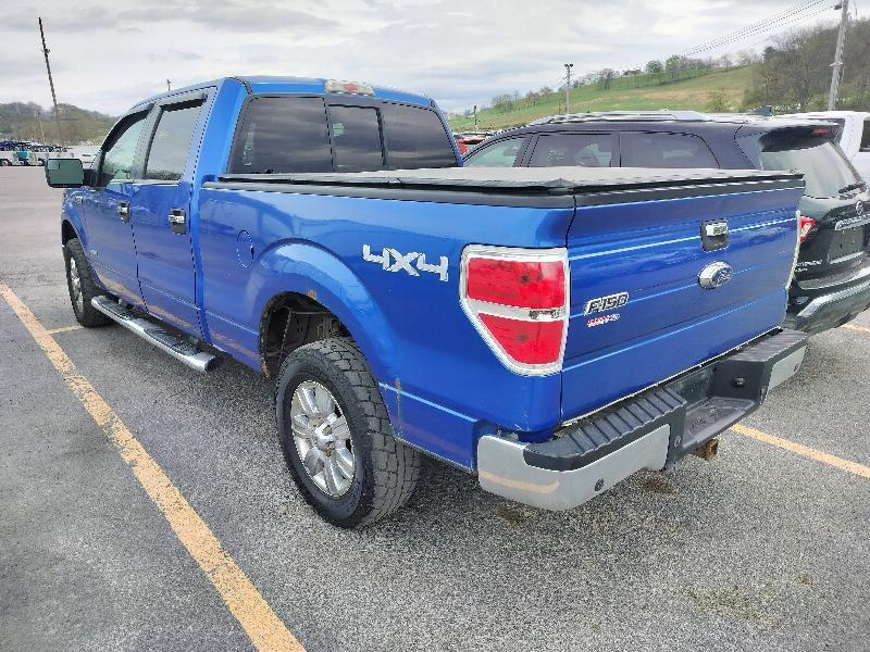 Ford F-150 XLT SuperCrew 6.5-ft. Bed 4WD 2011