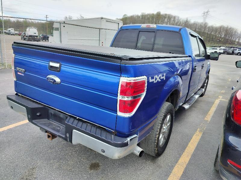 Ford F-150 XLT SuperCrew 6.5-ft. Bed 4WD 2011
