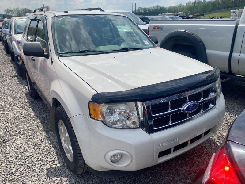 Ford Escape XLT 4WD 2011