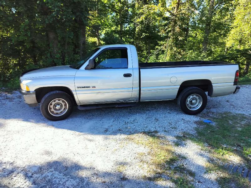 Dodge Ram 1500 Reg. Cab Short Bed 2WD 2001