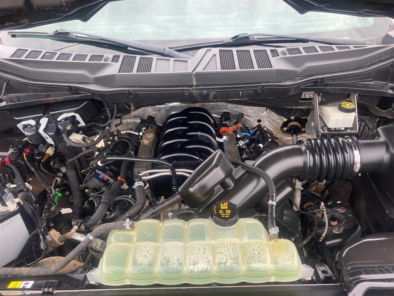 Ford F-150 XLT SuperCrew 5.5-ft. Bed 4WD 2022