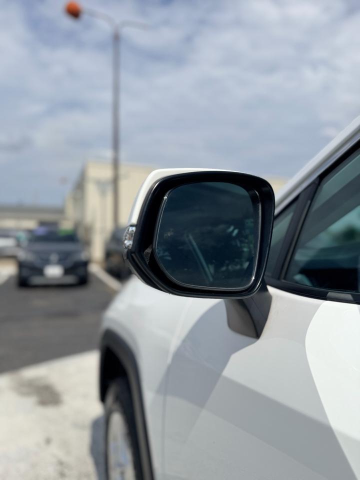 Toyota RAV4 XLE AWD (Natl) 2019