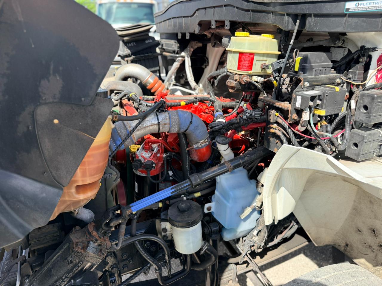 International DuraStar 4300  2019