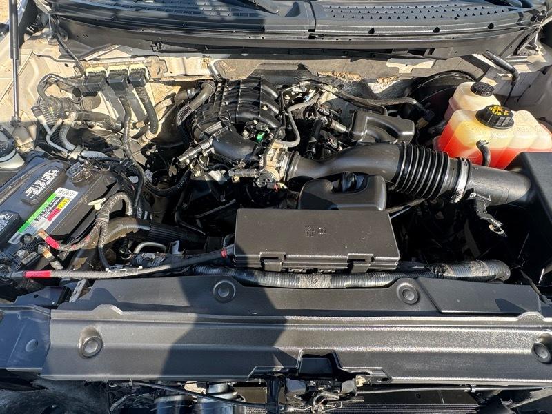 Ford F-150 Harley-Davidson SuperCrew 5.5-ft. Bed 2WD 2011