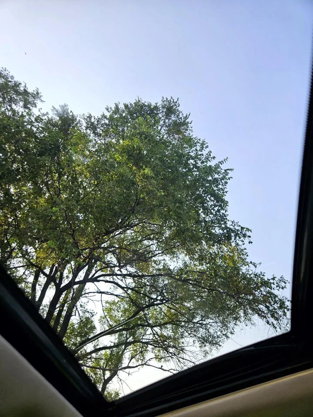 Infiniti QX50 Base AWD 2017