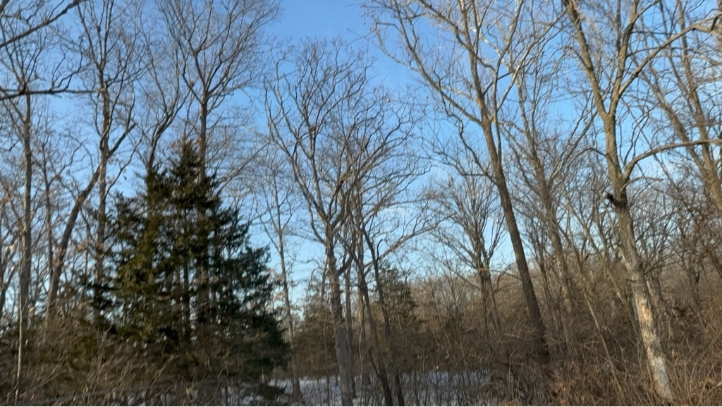 Toyota RAV4 Base I4 2WD 2011