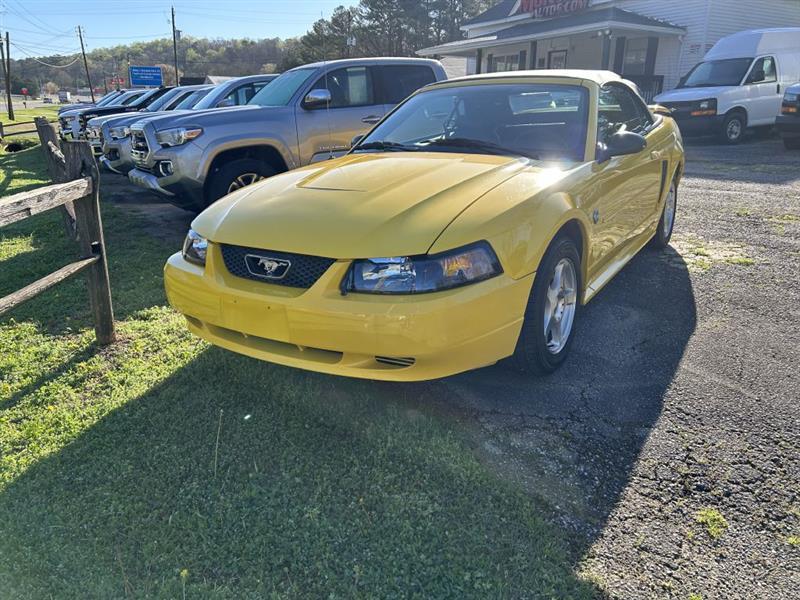 Ford Mustang Deluxe Convertible 2004