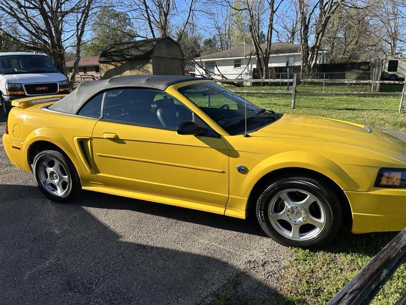 Ford Mustang Deluxe Convertible 2004