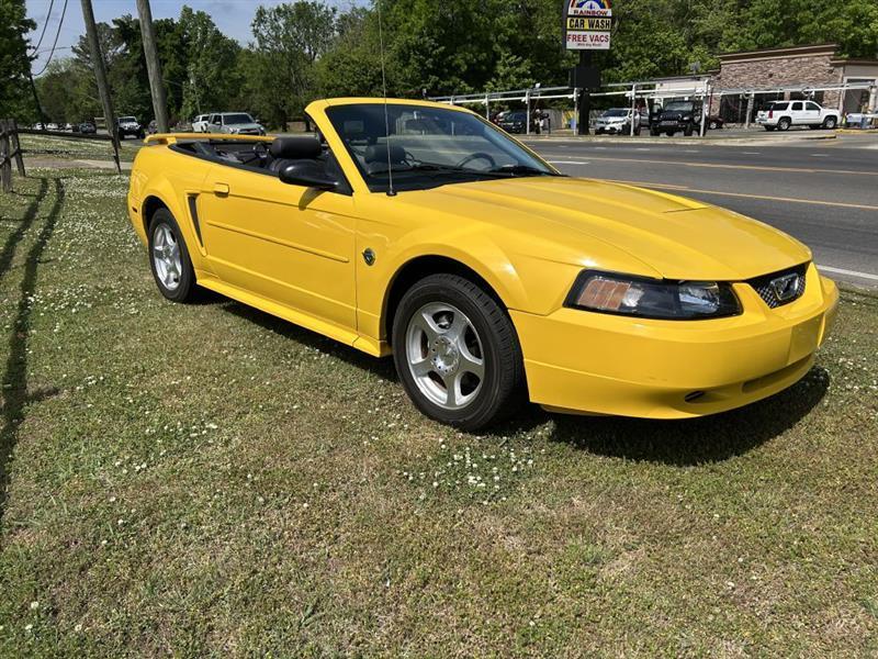 Ford Mustang Deluxe Convertible 2004