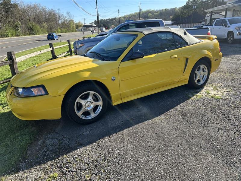 Ford Mustang Deluxe Convertible 2004