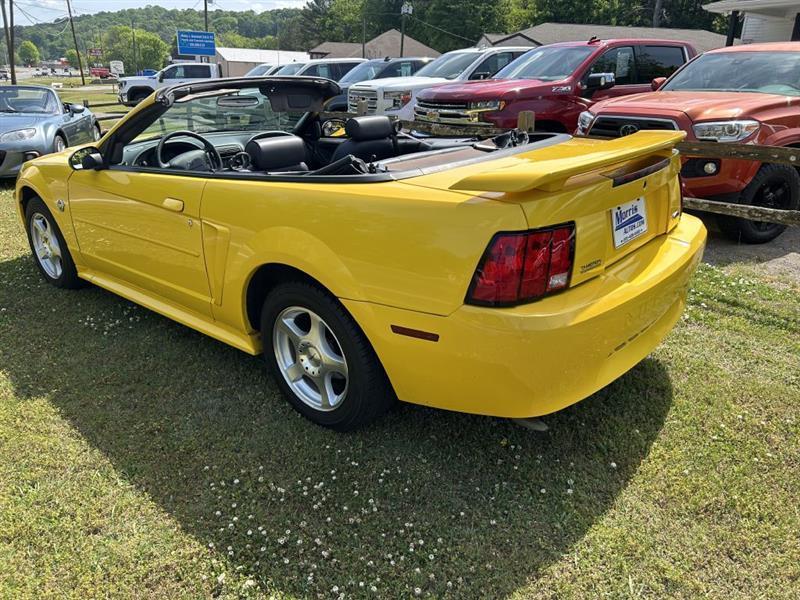 Ford Mustang Deluxe Convertible 2004