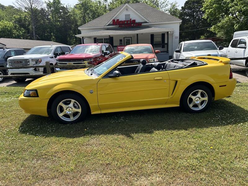 Ford Mustang Deluxe Convertible 2004