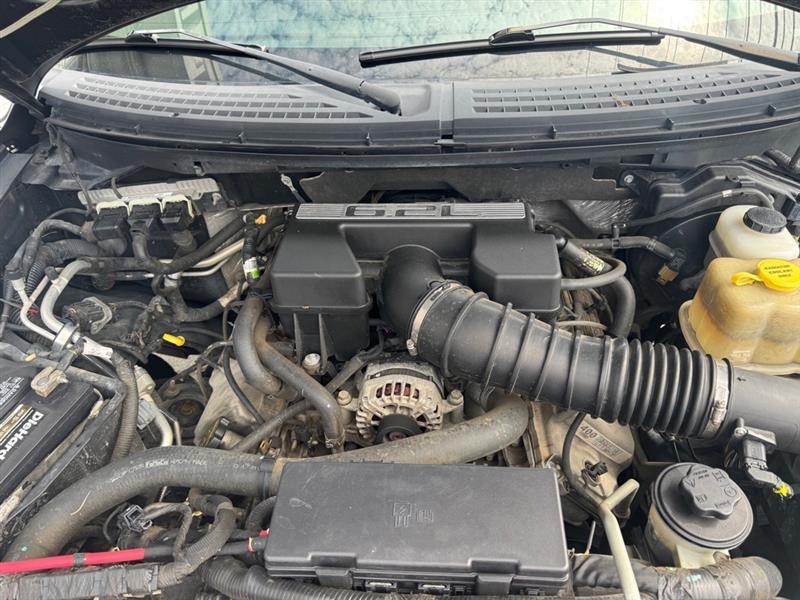 Ford F-150 4WD SuperCrew 145" SVT Raptor 2010