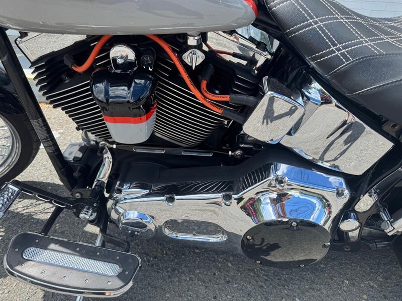 Harley-Davidson FLSTF  2004