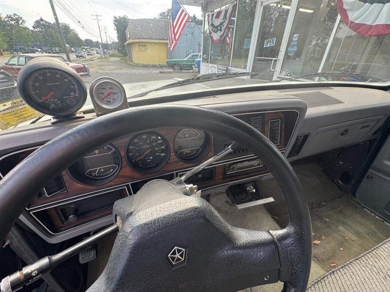 Dodge D100 Reg. Cab 8-ft. Bed 2WD 1989
