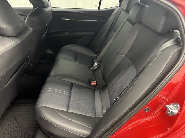Toyota Camry XLE (Natl) 2025