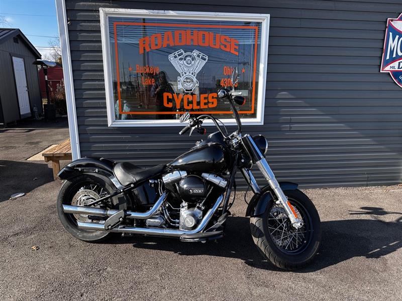 2017 Harley-Davidson FLS103 