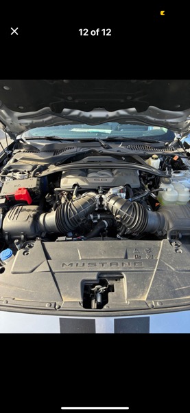 Ford Mustang GT Premium Coupe 2024