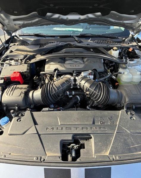 Ford Mustang GT Premium Coupe 2024