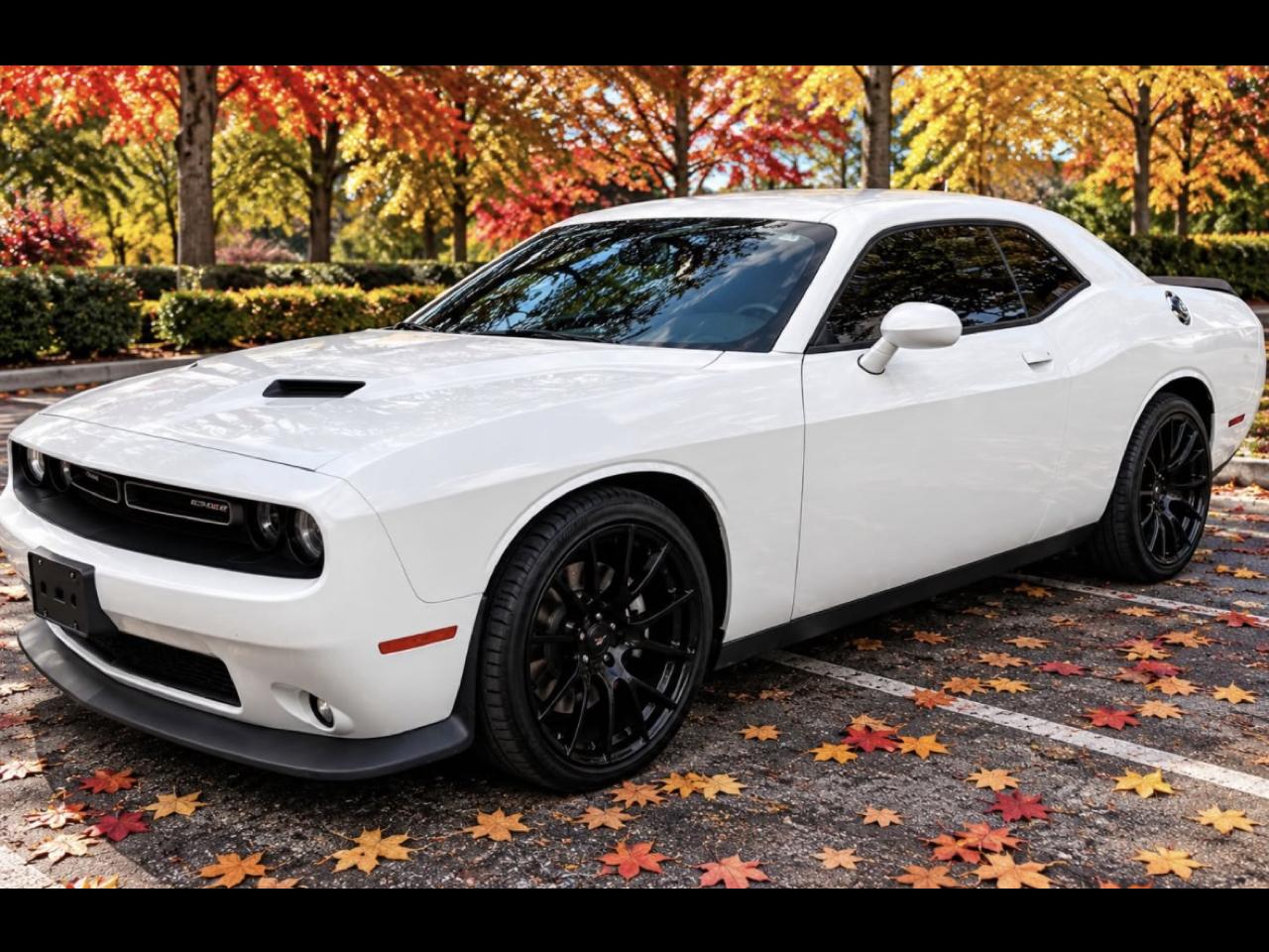 2017 Dodge Challenger SXT