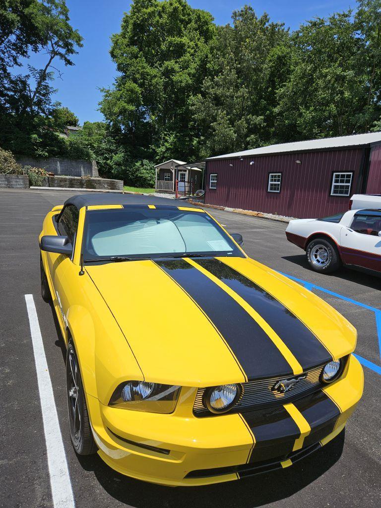 Ford Mustang GT Deluxe Convertible 2005