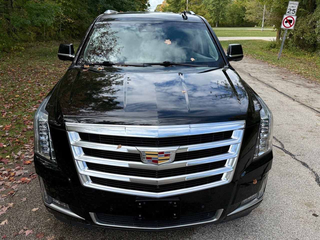 Cadillac Escalade Luxury 4WD 2016