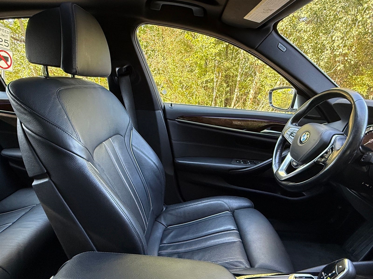 BMW 5-Series 530i xDrive 2017