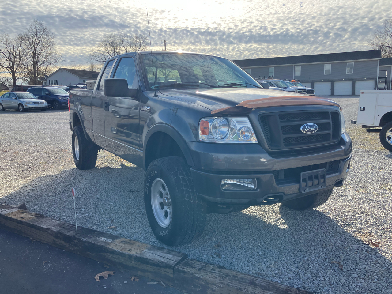 Ford F-150 4WD SuperCab 145" FX4 2004