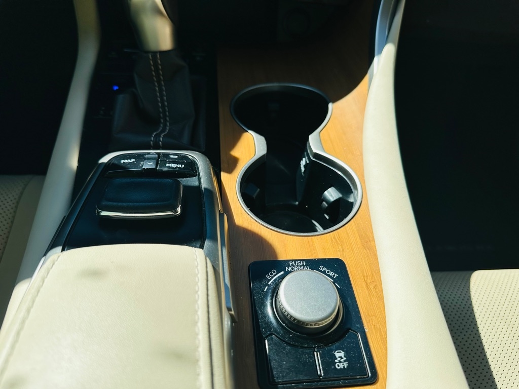 2017 Lexus RX 350 F SPORT photo 25