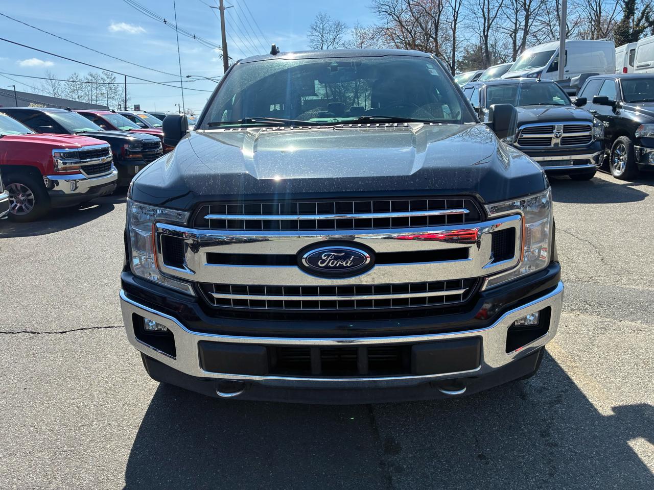 Ford F-150 XLT SuperCrew 6.5-ft. Bed 4WD 2019