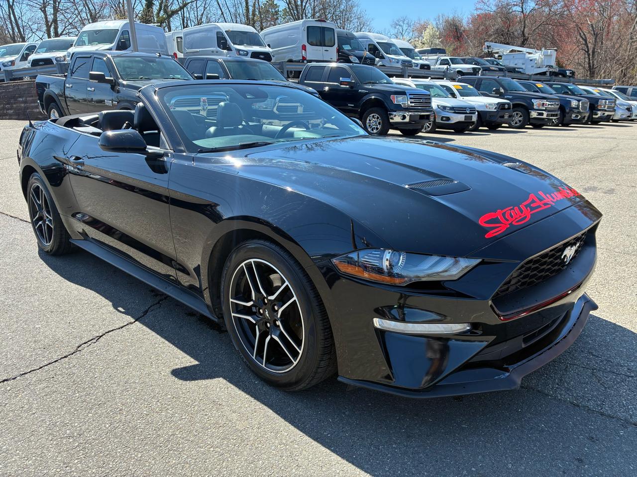 Ford Mustang EcoBoost Premium Convertible 2022