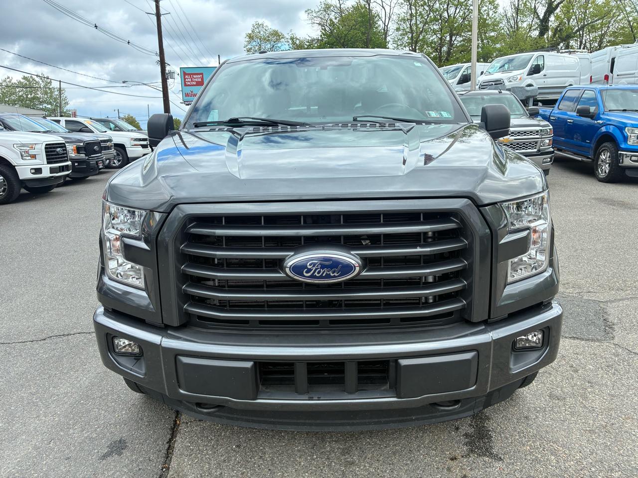 Ford F-150 XLT SuperCrew 6.5-ft. Bed 4WD 2015