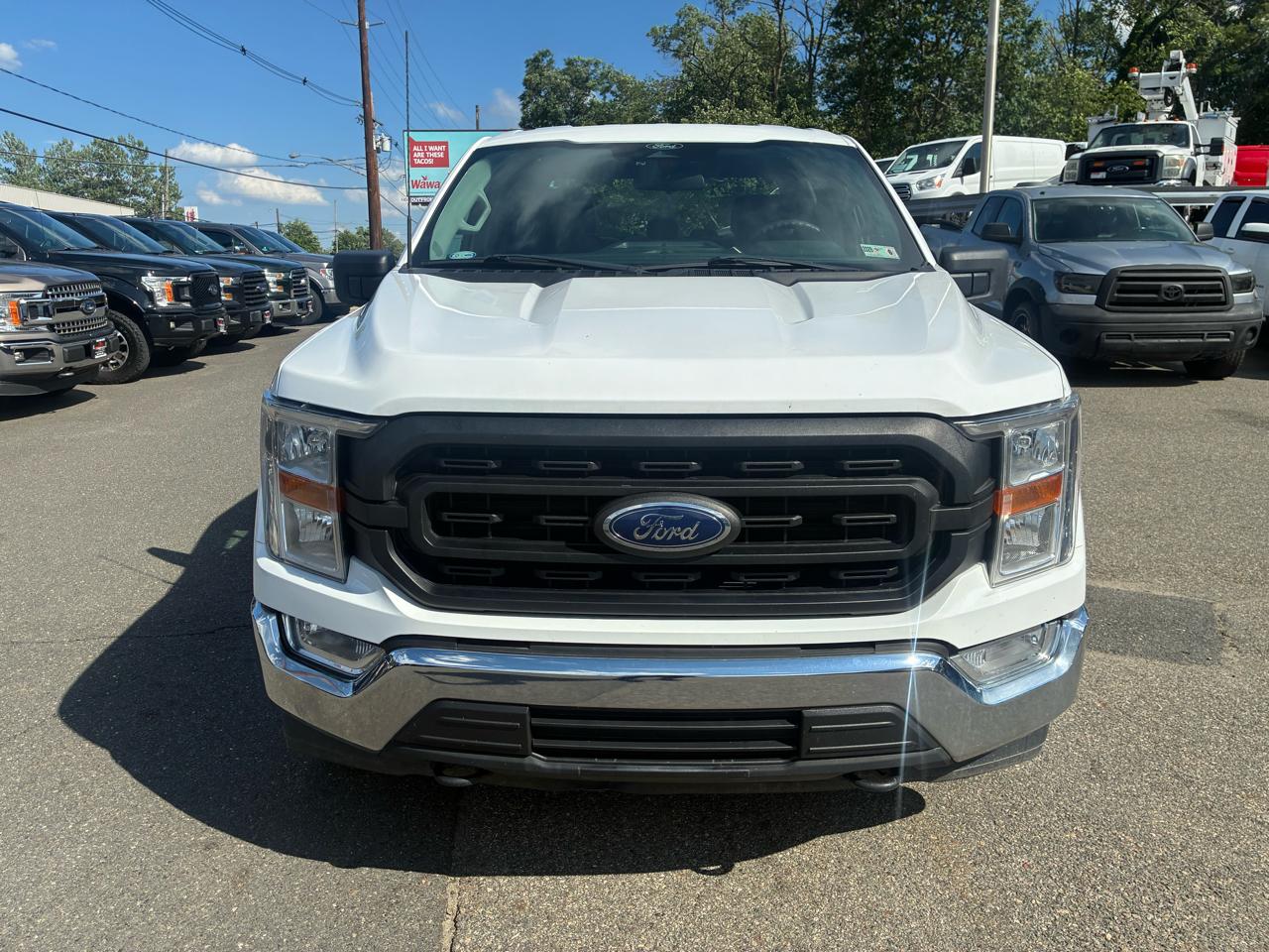 Ford F-150 XL SuperCrew 6.5-ft. Bed 4WD 2022