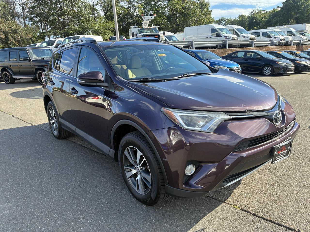 Toyota RAV4 XLE AWD 2016