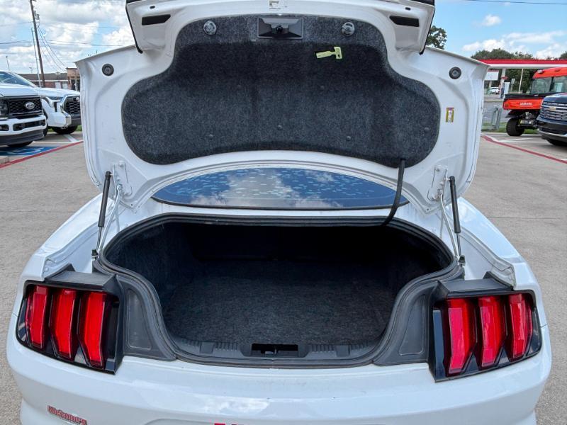 Ford Mustang EcoBoost Coupe 2018