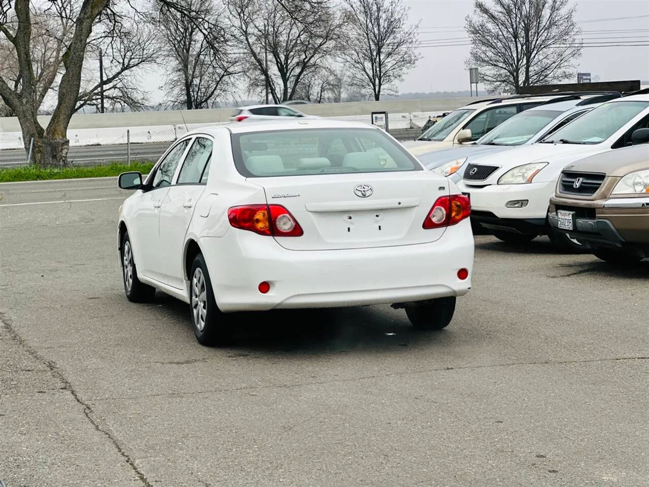 Toyota Corolla  2010