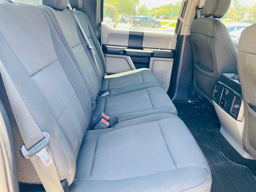 Ford F-150 XL SuperCrew 6.5-ft. Bed 4WD 2020