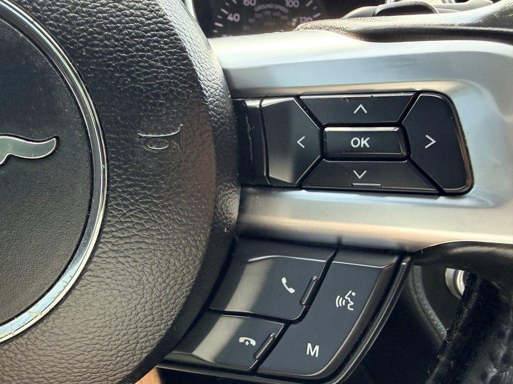 Ford Mustang EcoBoost Premium Convertible 2019