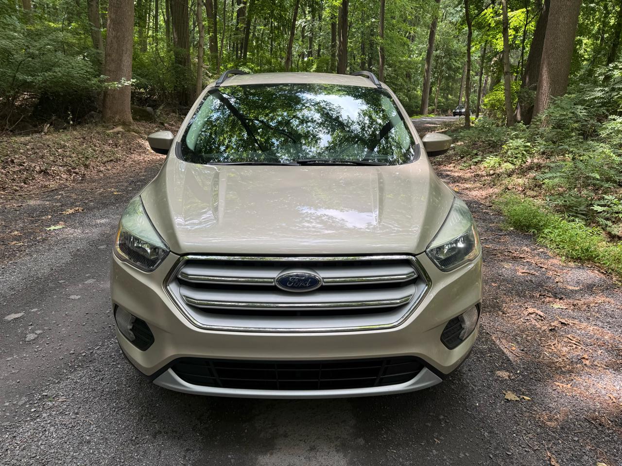 Ford Escape SE 4WD 2018