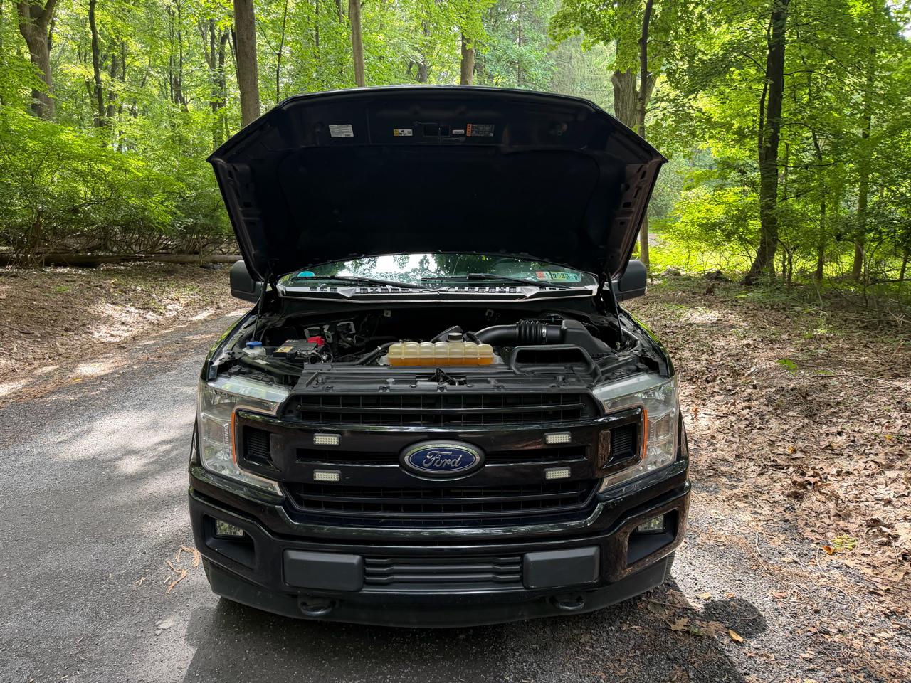 Ford F-150 XL SuperCab 6.5-ft. Bed 4WD 2019