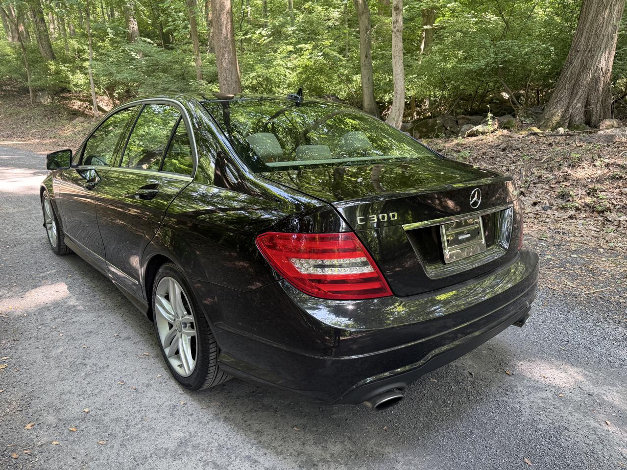 Mercedes-Benz C-Class C300 4MATIC Luxury Sedan 2012