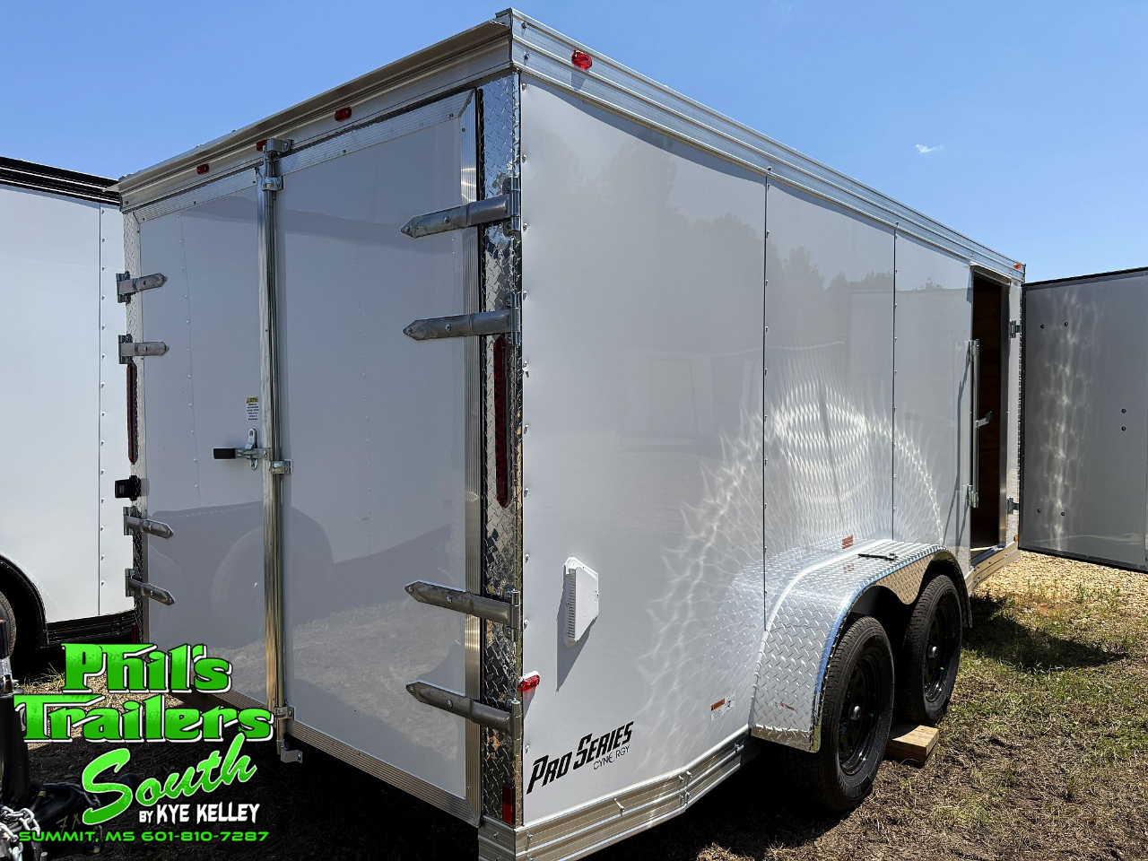 Cynergy Cargo Basic  2025