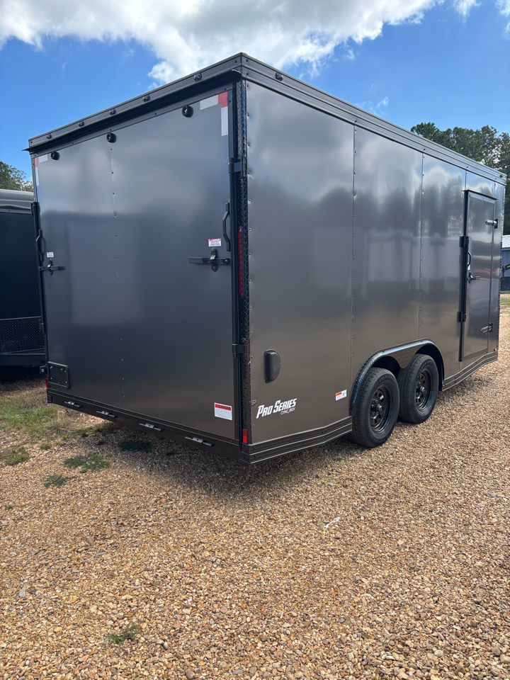 Cynergy Cargo Basic  2026