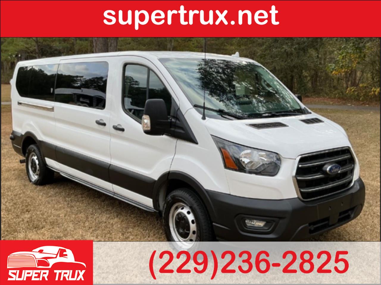 2020 Ford Transit Passenger Van XL's photo