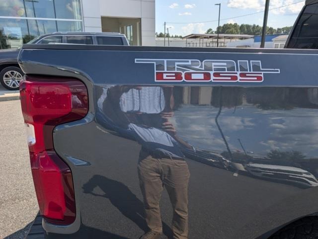 Chevrolet Silverado 1500 Custom Trail Boss Crew Cab Long Box 4WD 2020 Chevrolet Silverado 1500 Custom Trail Boss Crew Cab Long Box 4WD 2020