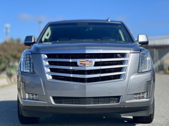 2019 Cadillac Escalade Premium Luxury photo 2