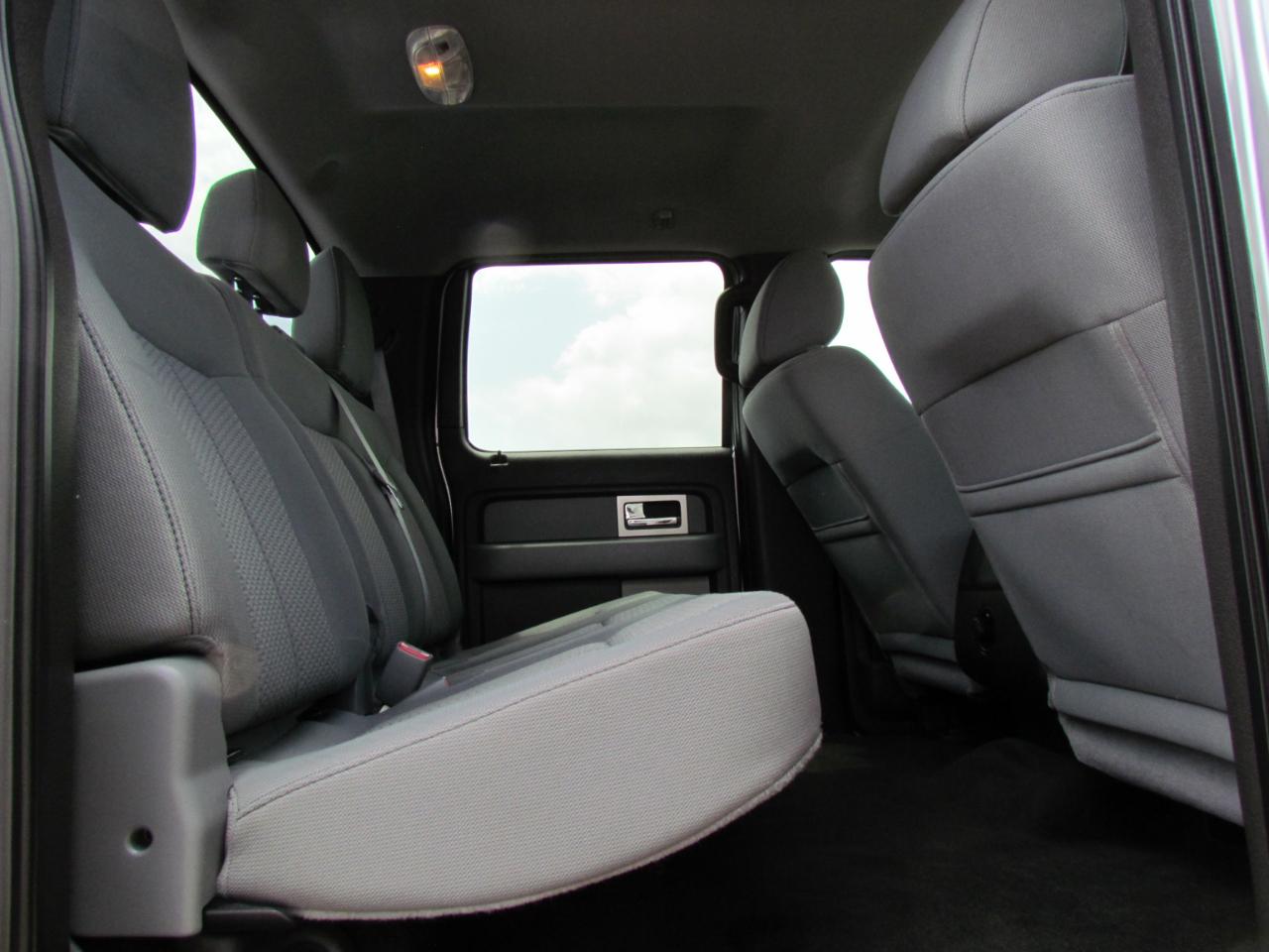 Ford F-150 Harley-Davidson SuperCrew 5.5-ft. Bed 2WD 2011